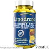 Lipodrene Original