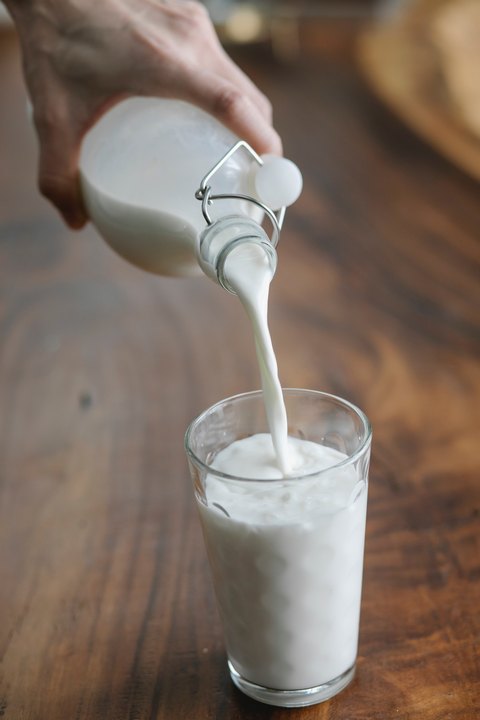 ¿Cuál es la mejor proteína de suero de leche?